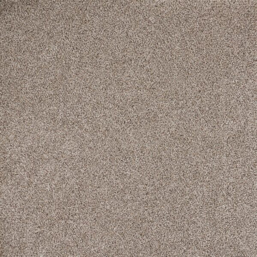 Eternal Beauty Polypropylene Timeless Stone Carpet Textured 1