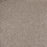 Eternal Beauty Polypropylene Timeless Stone Carpet Textured 2