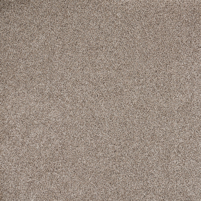 Eternal Beauty Polypropylene Timeless Stone Carpet Textured 2