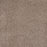 Eternal Beauty Polypropylene Hazelnut Carpet Textured 1