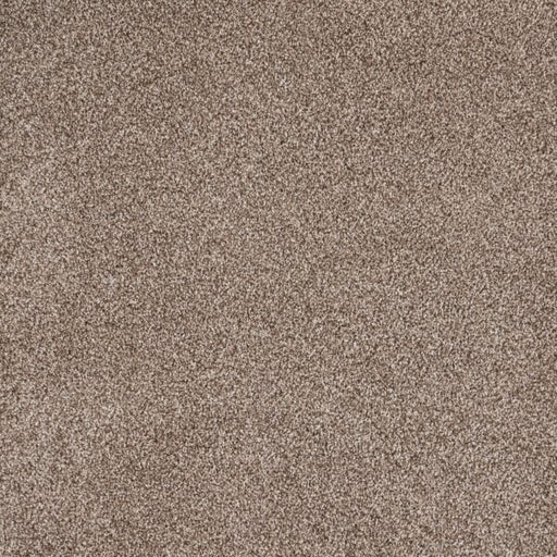 Eternal Beauty Polypropylene Hazelnut Carpet Textured 1