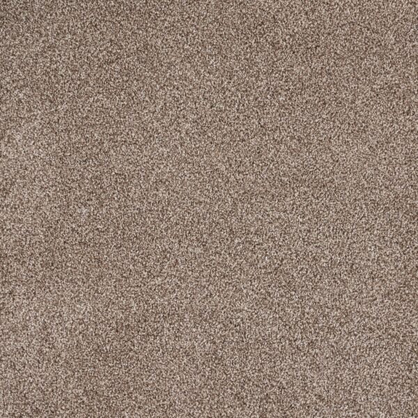 Eternal Beauty Polypropylene Hazelnut Carpet Textured 1