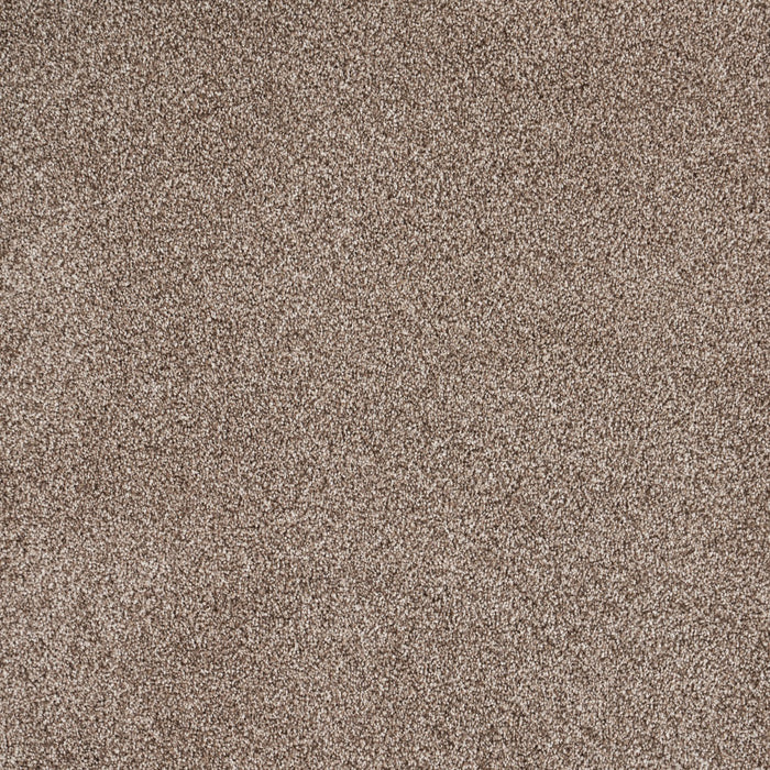 Eternal Comfort Polypropylene Hazelnut Carpet Textured 2