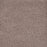 Eternal Comfort Polypropylene Winterberry Carpet Textured 1