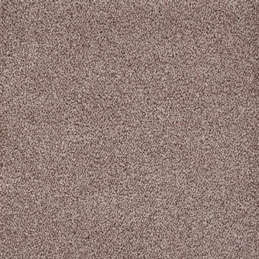 Eternal Comfort Polypropylene Winterberry Carpet Textured 1