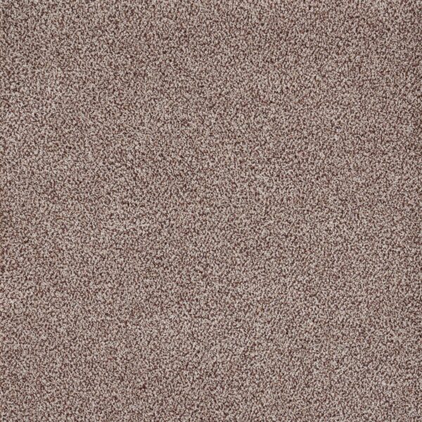 Eternal Beauty Polypropylene Winterberry Carpet Textured 1
