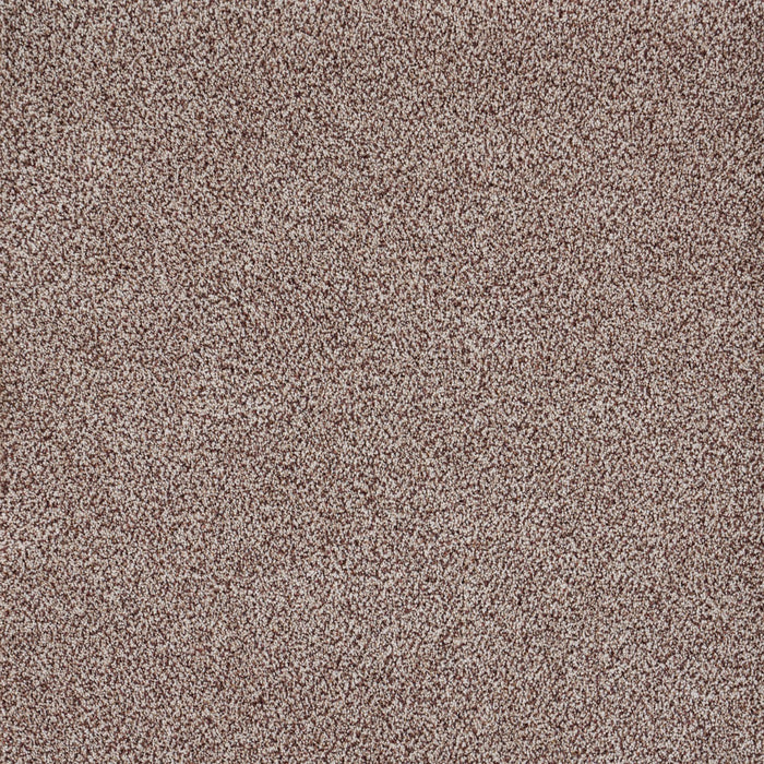 Eternal Comfort Polypropylene Winterberry Carpet Textured 2