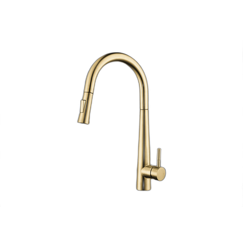 Euphrates Brushed Gold Brushed Gold Kitchen Faucet Brushed Gold 1