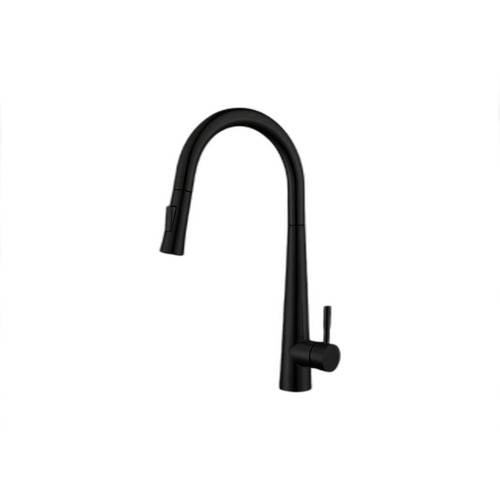 Euphrates Matte Black Matte Black Kitchen Faucet Matte Black 1