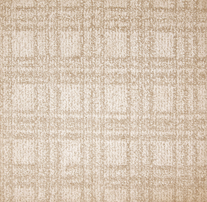 Excalibur Polyester Sand Swept 28312 Carpet Textured 1