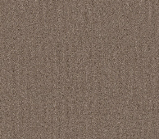 Profusion 20 Excess Polyester Carpet - Textured