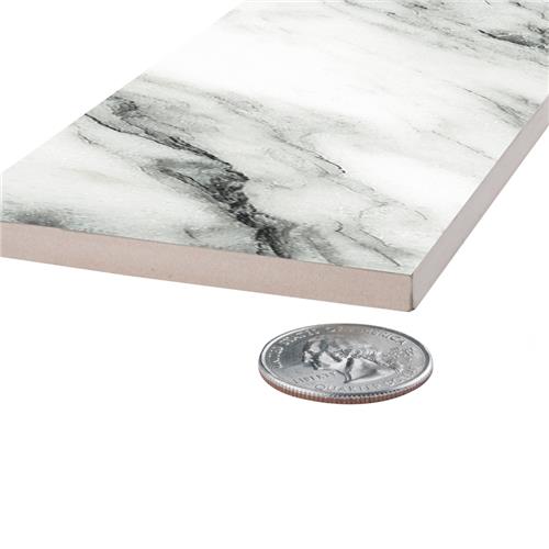 Touche Porcelain Zebre Tile Satin 3