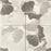 Full Tile Sample - Skalini Line Flora Gingko Taupe Marble Mosaic - 5.9" x 5.9" x 3/8" Etched