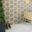 Marcotto Panal Terra with Calacatta Gold Picket FMP10MPTCG Matte
