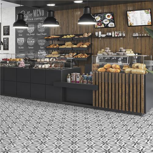 Marbilia Porcelain Elazig?with Biotech Tile Matte 6
