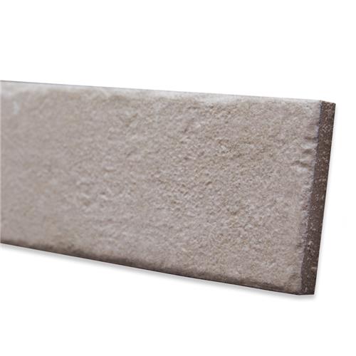 Tucson Porcelain Greige Tile Matte 5