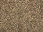 Felix Remix Wool Blend Ocelot 63806 Carpet Textured 1
