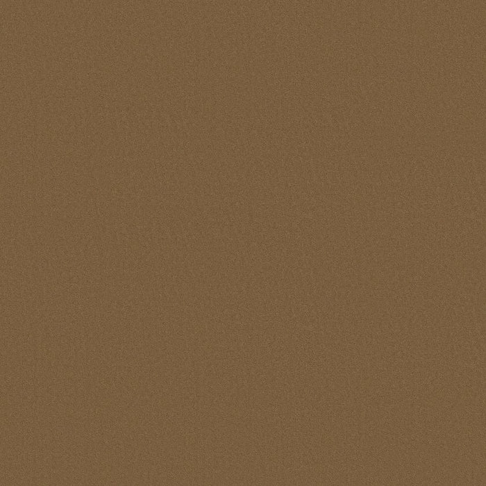 Textured Candied Pecan