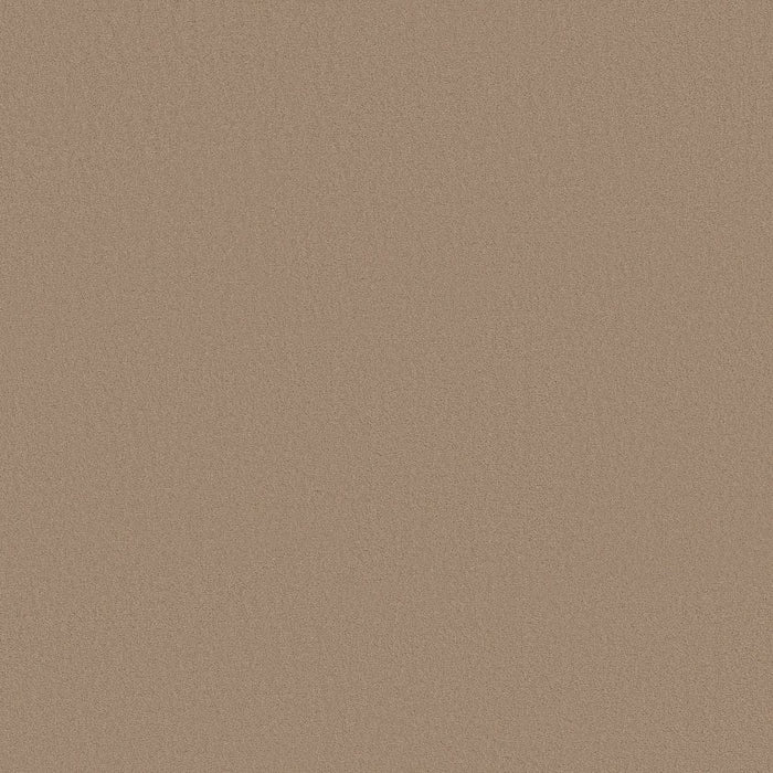 Textured Desert Dune