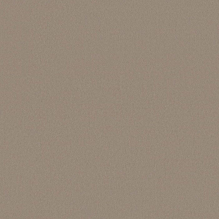 Textured Dusty Trail