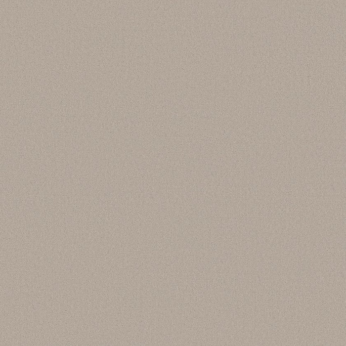 Textured First Frost