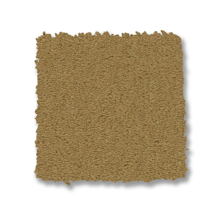 Finery Gold Coin 00201