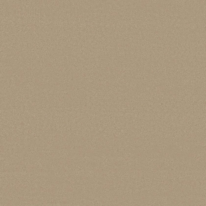 Textured Toasted Almond