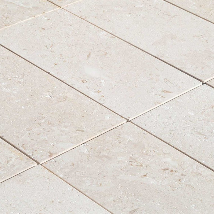 Fossil Stone Limestone 