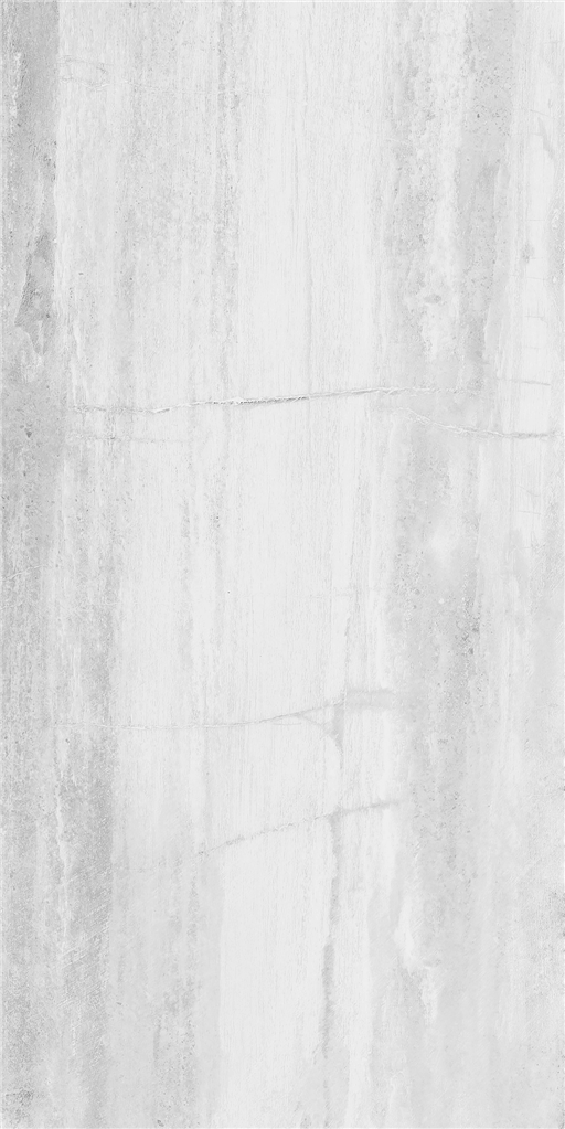 Fossil White 8115-C1