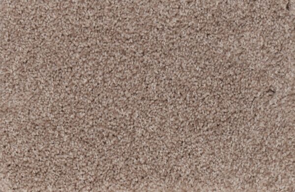 New Foundation Polypropylene Abode Carpet Textured 1