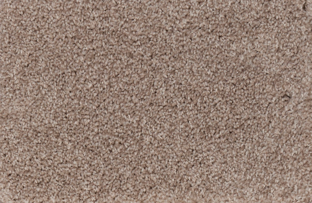 New Foundation Polypropylene Abode Carpet Textured 2