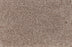 New Foundation Polypropylene Abode Carpet Textured 2