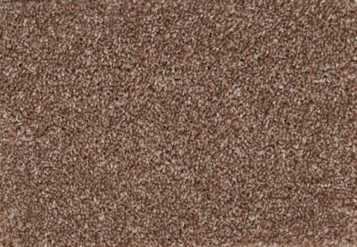New Foundation Polypropylene Dwelling Carpet Textured 1