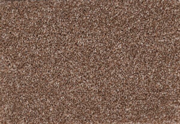 New Foundation Polypropylene Dwelling Carpet Textured 1
