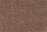 New Foundation Polypropylene Dwelling Carpet Textured 1