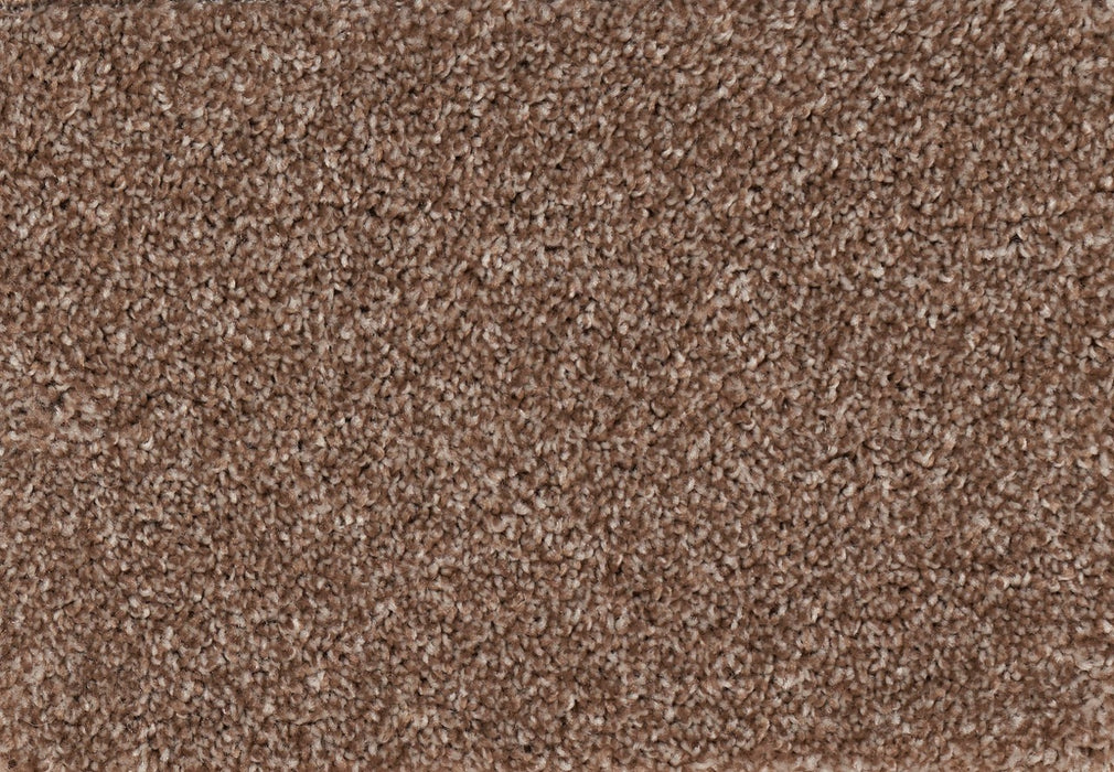 New Foundation Polypropylene Dwelling Carpet Textured 2
