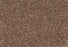 New Foundation Polypropylene Dwelling Carpet Textured 2