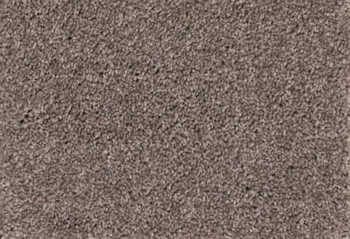 New Foundation Polypropylene Nitty Gritty Carpet Textured 1