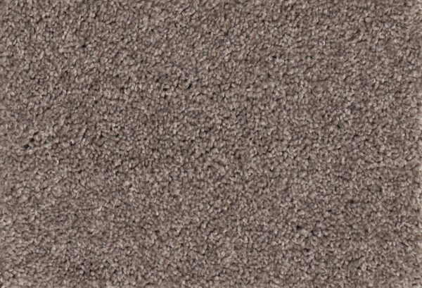 New Foundation Polypropylene Nitty Gritty Carpet Textured 1