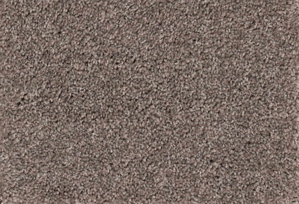 New Foundation Polypropylene Nitty Gritty Carpet Textured 2