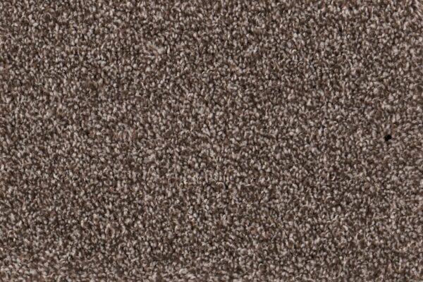 New Foundation Polypropylene Bedrock Carpet Textured 1
