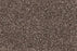 New Foundation Polypropylene Bedrock Carpet Textured 1