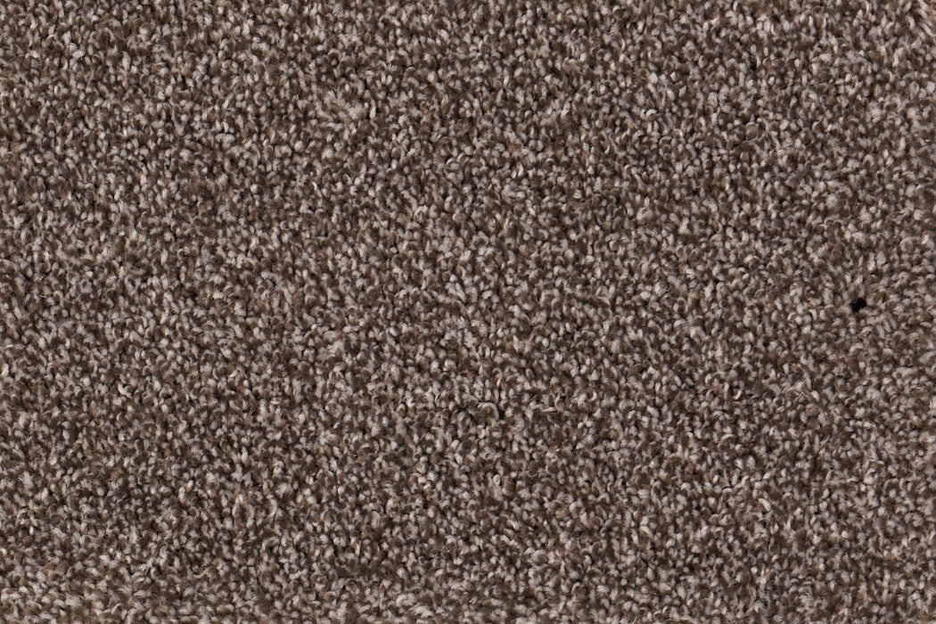 New Foundation Polypropylene Bedrock Carpet Textured 2