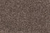 New Foundation Polypropylene Bedrock Carpet Textured 2