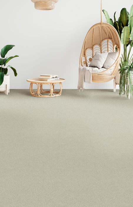 Foxwood I Polyester Champagne Fizz 6309 Carpet Textured 2