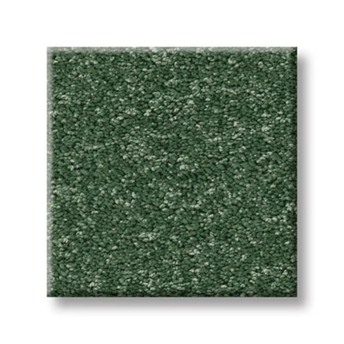 The Bright Side Fuzzy Feeling Polyester Carpet - Textured