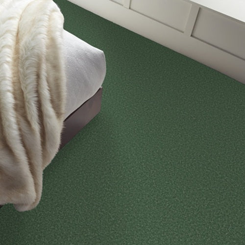 The Bright Side Fuzzy Feeling Polyester Carpet - Textured