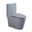 Light Gray Ceramic Toilet 1