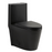 Matt black Ceramic Toilet 1