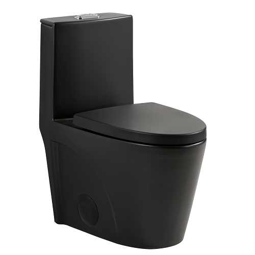 Matt black Ceramic Toilet 1